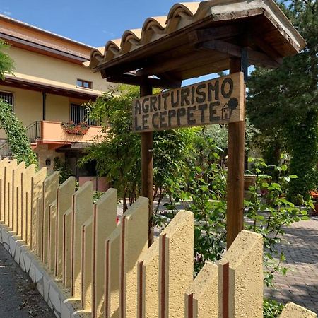 Apartament Le Ceppete Palombaro Zewnętrze zdjęcie