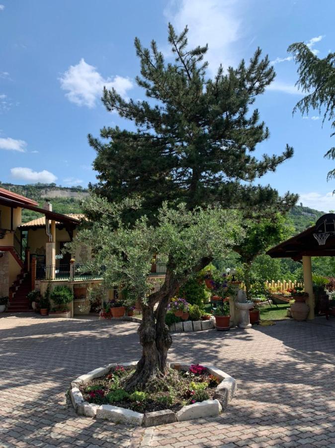 Apartament Le Ceppete Palombaro Zewnętrze zdjęcie